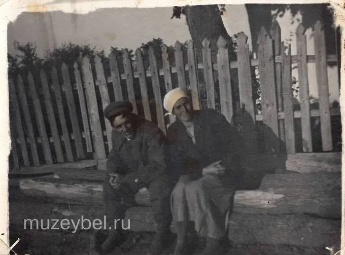 Слайд3