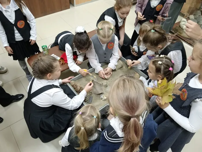 IMG-20251107-WA0042