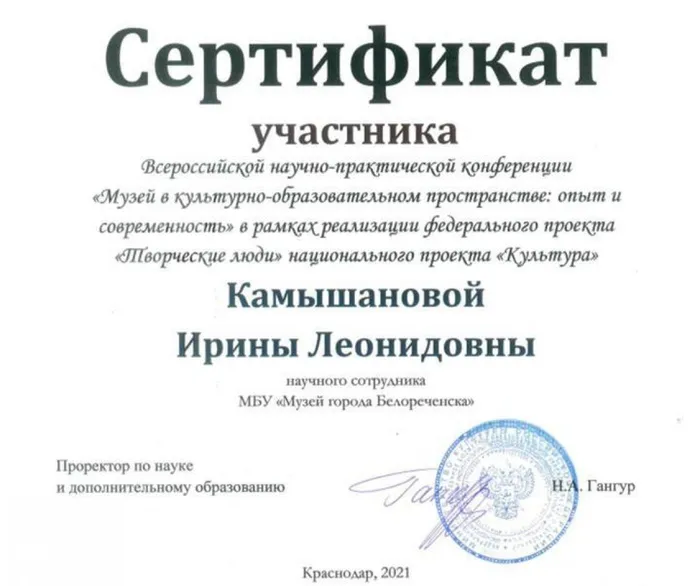 сертификат. Камышанова - копия